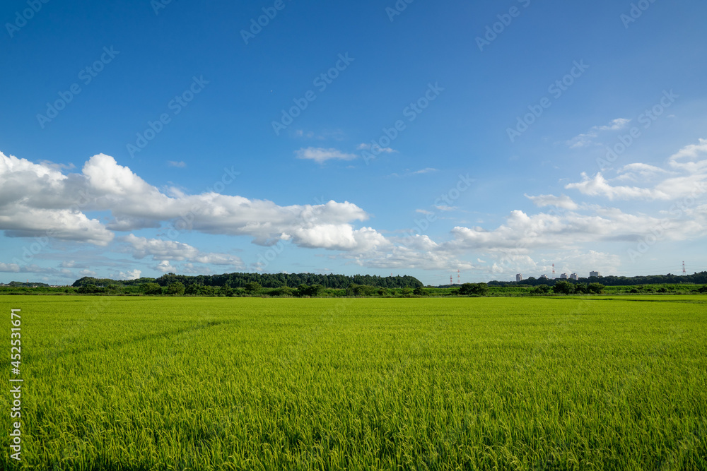 田園風景