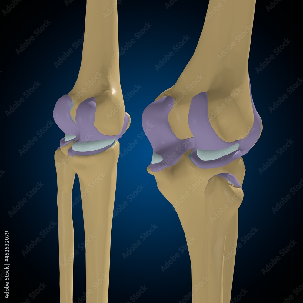 Gliding Joint Diagram