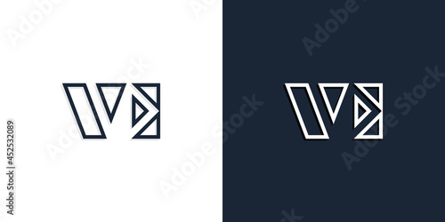 Abstract line art initial letters VE logo.