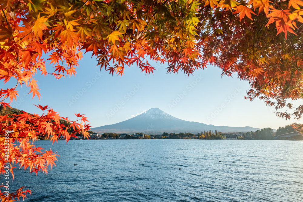 Mount Fuji in autumn season with red maple tree, Lake Kawaguchiko, Japan
