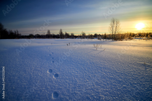 Traces of a wild animal in the snow on sunny morning.