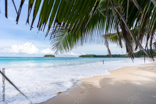 Beautiful kata beach in the bright day under the coconut tree shade. Kata Beach   Phuket   Thailand after COVID-19