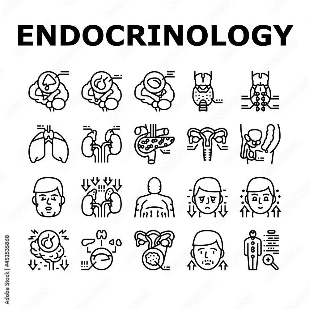 Endocrinology Medical Disease Icons Set Vector. Parathyroid And Pituitary Gland, Acromegaly And Hypothyroidism, Hypothalamus And Adrenal Insufficiency Endocrinology Black Contour Illustrations Endocrinology Medical Disease Icons Set Vector. Parathyroid And Pituitary Gland, Acromegaly And Hypothyroidism, Hypothalamus And Adrenal Insufficiency Endocrinology Black Contour Illustrations