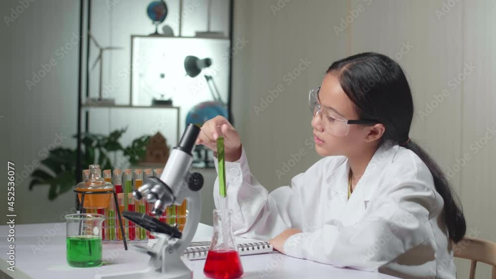 Young Scientist Girl Looking At Liquid In Test Tube
Young Scientist Girl Looking At Liquid In Test Tube
