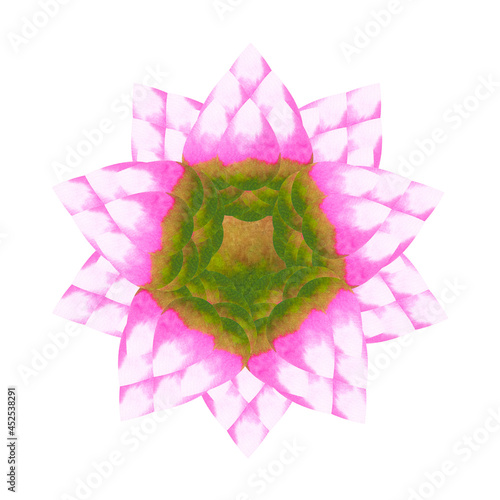 lotus chakra mandala logo symbol concept pink green flower floral leaf watercolor painting icon illustration design sign photo