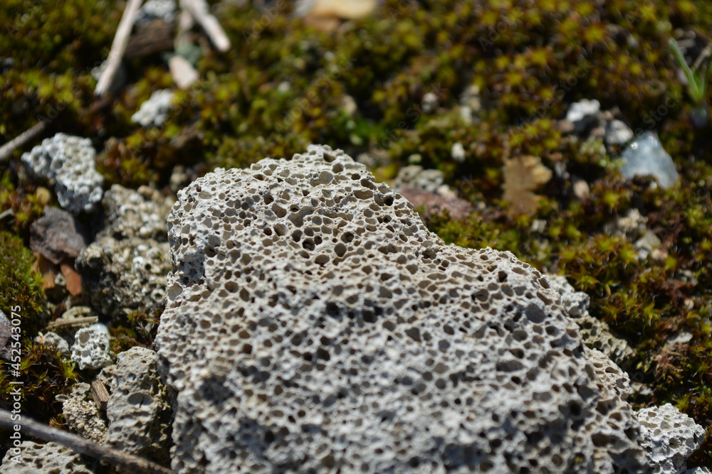 Close up of pumice stone, pumice stone next to moss, clear day, clear texture of stones Close up of pumice stone, pumice stone next to moss, clear day, clear texture of stones