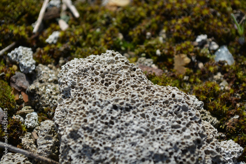 Close up of pumice stone, pumice stone next to moss, clear day, clear texture of stones 