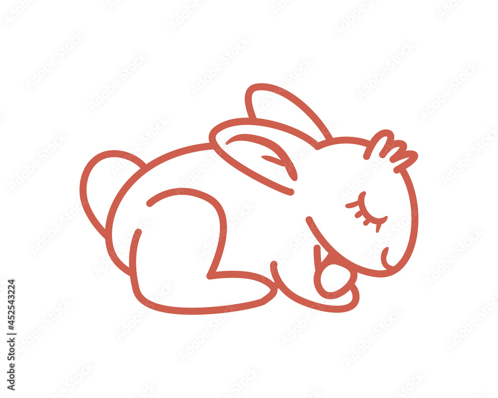 cute rabbit animal cute rabbit animal