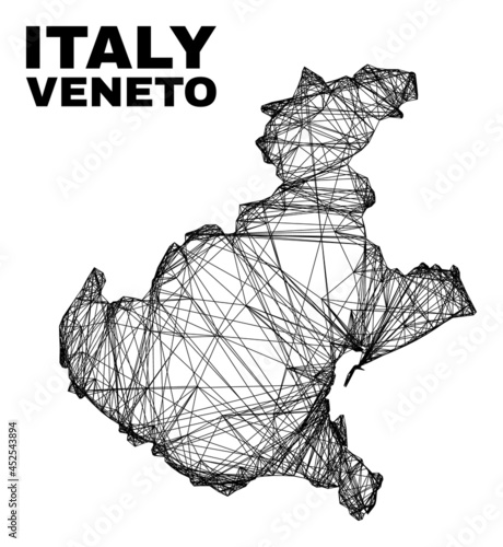 carcass irregular mesh Veneto region map. Abstract lines are combined into Veneto region map. Linear carcass 2D network in vector format.