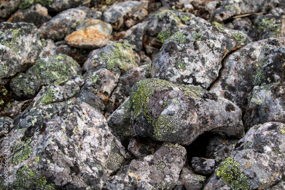 Closeup of stones covered with mosses and lichen at Kiilopää hill, Northern Finland, Europe