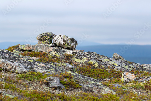 Stony landscape covered with mosses, lichen and shrubs in UKK National Park at Kiilopää, Northern Finland © Kersti Lindström