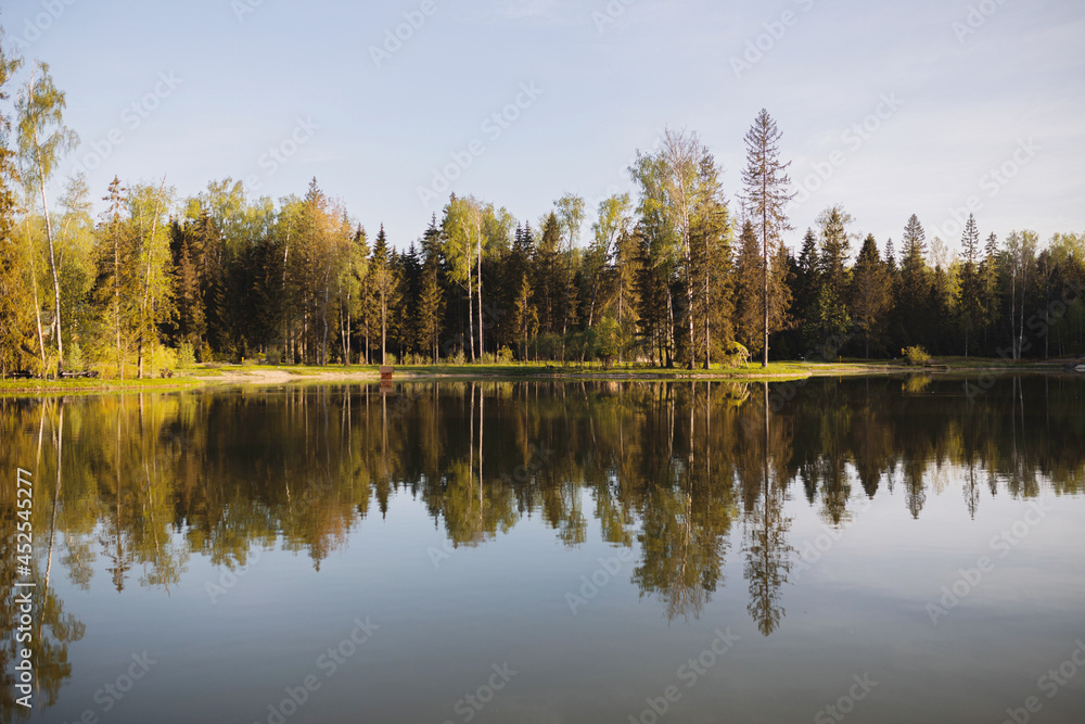 autumn forest by the lake in the early morning