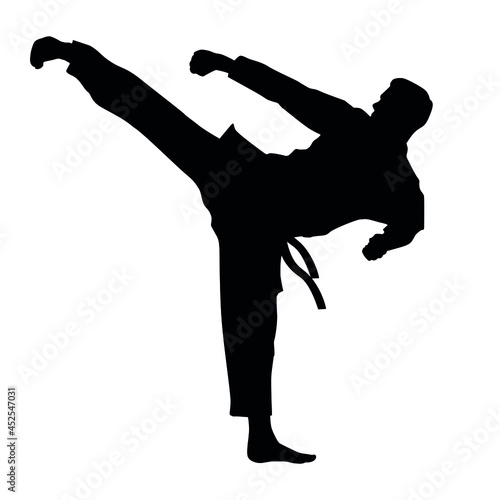 Silhouette Of Martial Arts Fighter