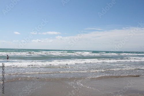 Sea coastline  sandy beach  waves