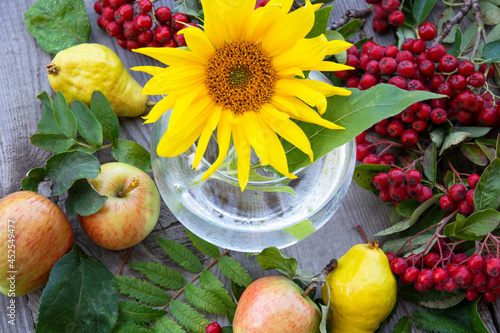 Floral background. Sunflower flower in a glass vase, fruits and sprigs with red rowan berries.