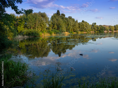 Fototapeta Naklejka Na Ścianę i Meble -  Summer landscape on the lake