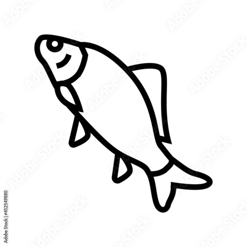 crucian carp line icon vector. crucian carp sign. isolated contour symbol black illustration