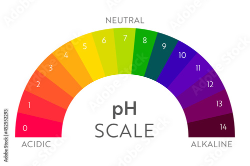 pH Value scale chart. Acid-base balance infographic. Education Poster