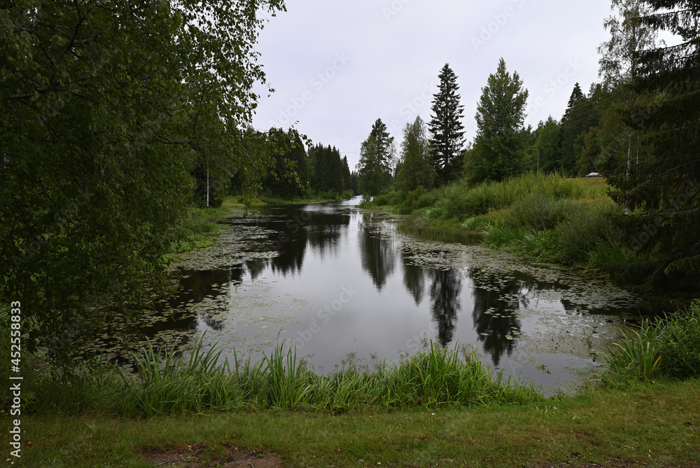 lake in the forest