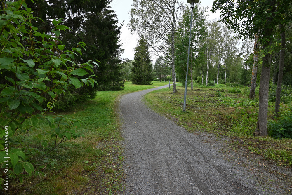 Obraz premium road in the woods