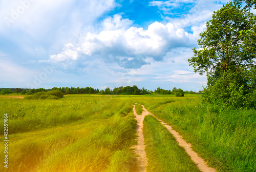 Beautiful summer landscape. Countryside with road on the field  green grass  trees and dramatic blue sky with fluffy clouds.