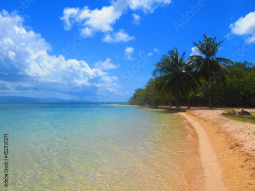 Des palmiers sur la plage de sable blanc devant la paradisiaque mer turquoise © Patrick