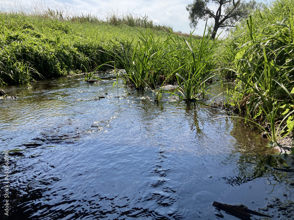 Fototapeta premium Running river under the bridge. 