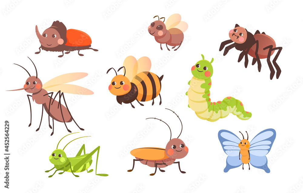 Set Of Insects. Pictures With Various Insects For Children. Image Of 