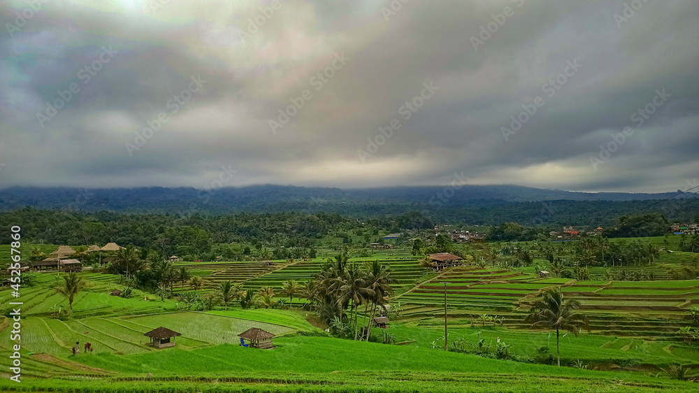 Unesco World Heritage : Jatiluwih Rice Terraces 