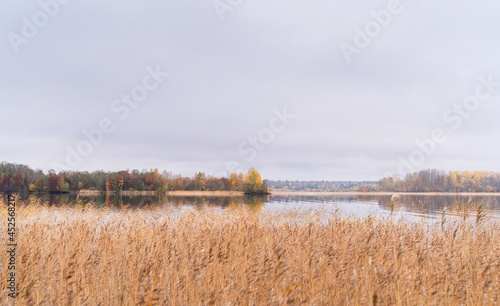 Beautiful autumn misty lake and forest wild landscape. Autumn forest and lake background. Great design for any purposes.