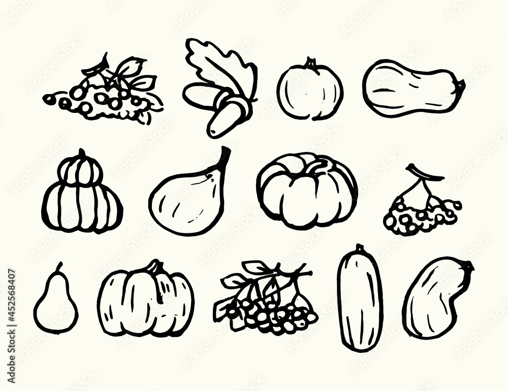 Autumn harvest. A large collection of pumpkins, zucchini, berries, fruits, vegetables are drawn by hand. Graphic vector illustration. Autumn harvest. A large collection of pumpkins, zucchini, berries, fruits, vegetables are drawn by hand. Graphic vector illustration.