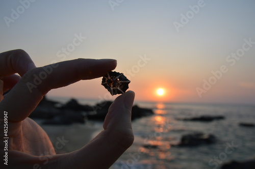 Cropped hand holding a seashell in the background of a golden sunset reflection on rock island, Phu Quoc, Vietnam