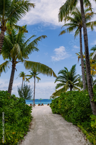path with palms and flowers in Crossroads Maldives resort. Saii lagoon, july 2021 © Сергій Вовк
