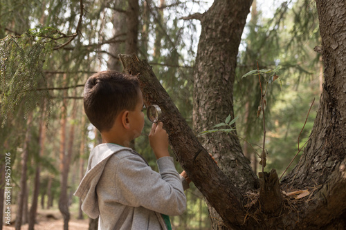 a little boy look at insects on a tree with magnifying glass