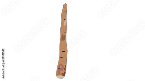 wooden chopsticks isolated on white