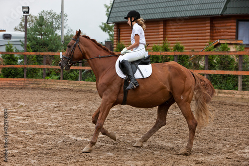 A girl in white equestrian clothes and a helmet, riding a brown horse. performs at a dressage competition.