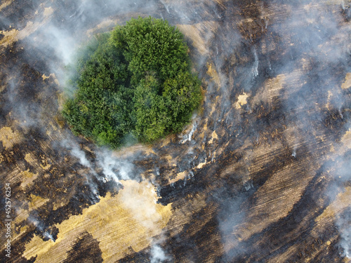 Aerial view of burning field with smoke