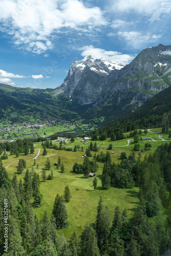 un mont enneigée au fond d'une vallée verdoyante avec des sapins 