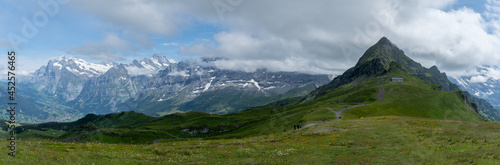 Wallpaper Mural panorama sur une montagne verdoyante devant des sommets de montagnes enneigées Torontodigital.ca