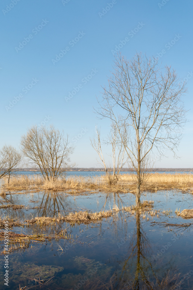 Spring flood blue lake. Trees still without leaves grow in a meadow flooded with water. Beautiful landscape with blue sky and water on a spring day