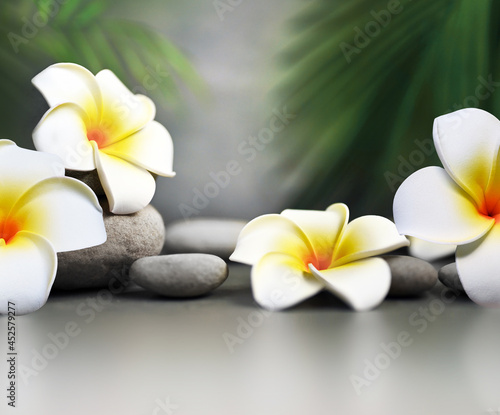 Spa stones with palm branch and flower plumeria on light background.