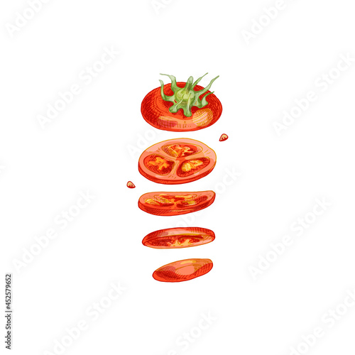Flying pieces of red tomato plum. Vector vintage hatching color illustration.