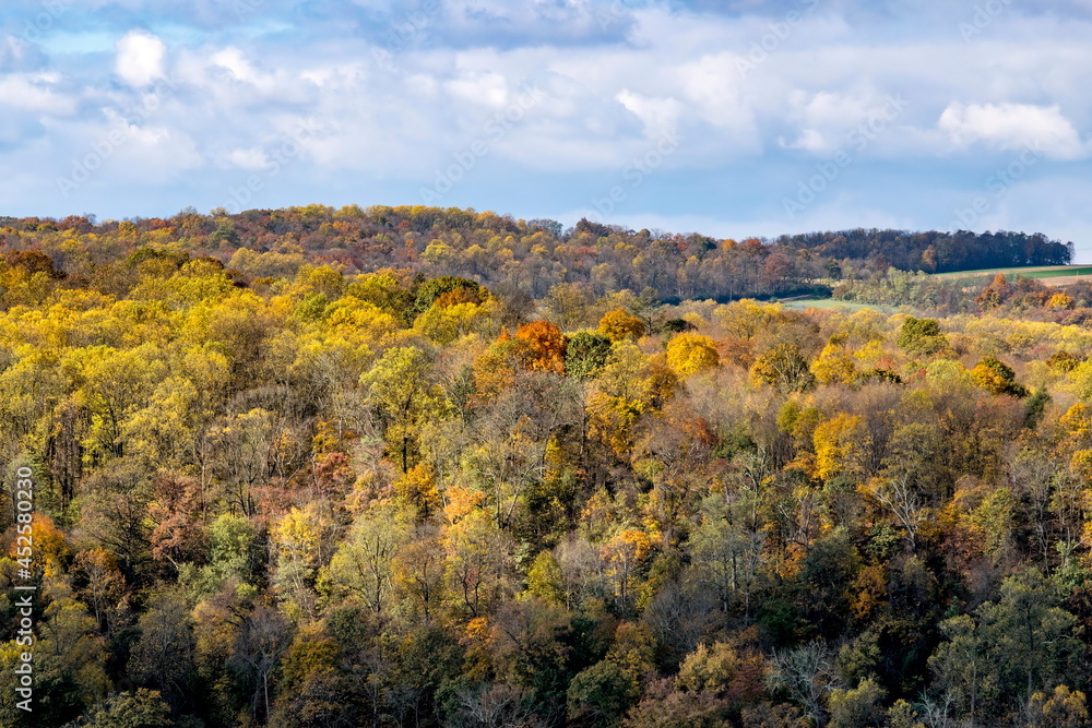 Autumn Foliage Colors in Trees and Farmlands by a River on a Sunny Partly Cloudy Day Autumn Foliage Colors in Trees and Farmlands by a River on a Sunny Partly Cloudy Day