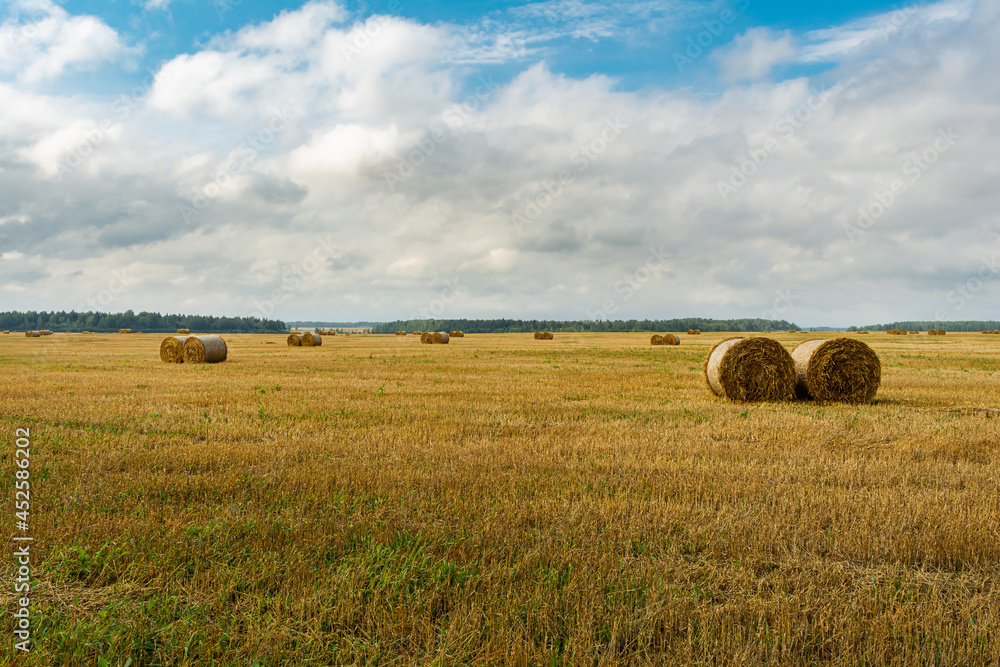 Round straw bales in harvested fields and blue sky with clouds.