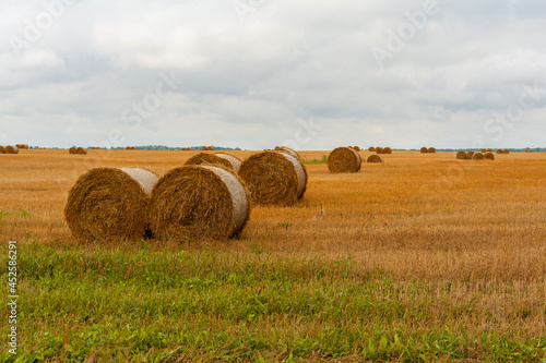 Landscape with straw bales on agricultural field