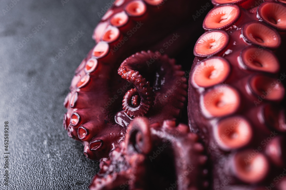 Octopus with red tentacles on dark table