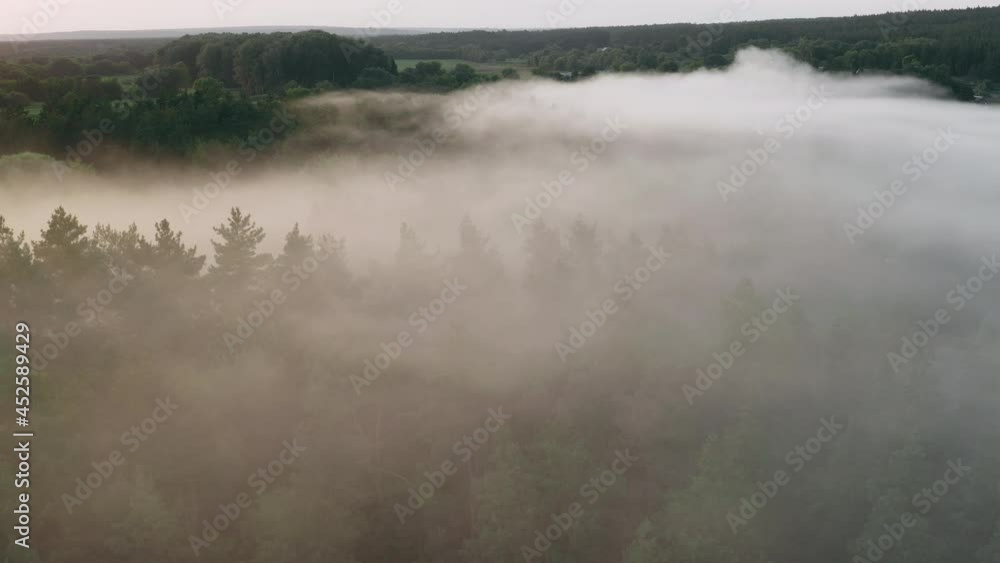 Smoke from wildfire over treetops in green forest, drone Flying over treetops through the smoke of forest fire. Smoke from wildfire over treetops in green forest, drone Flying over treetops through the smoke of forest fire.