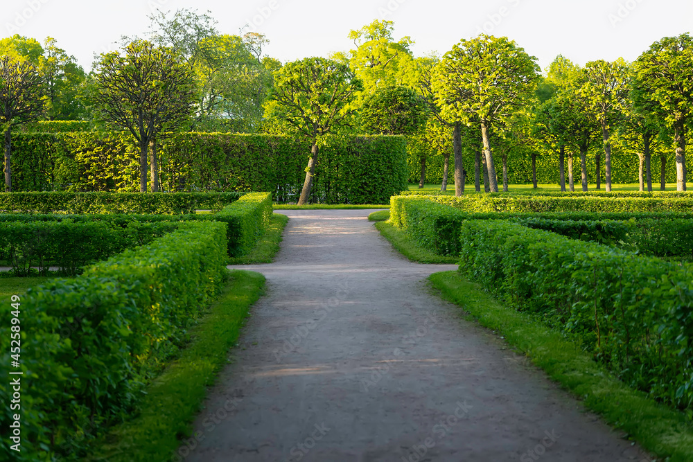 Summer landscape. Beautifully trimmed lawns, trees and metal benches Summer landscape. Beautifully trimmed lawns, trees and metal benches