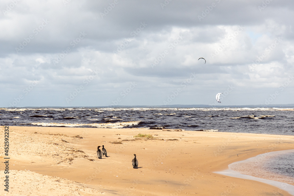 Obraz premium kite surfing on the beach