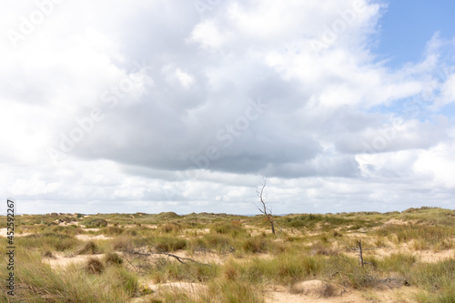 landscape with clouds